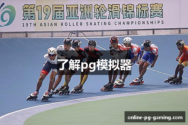 了解pg模拟器